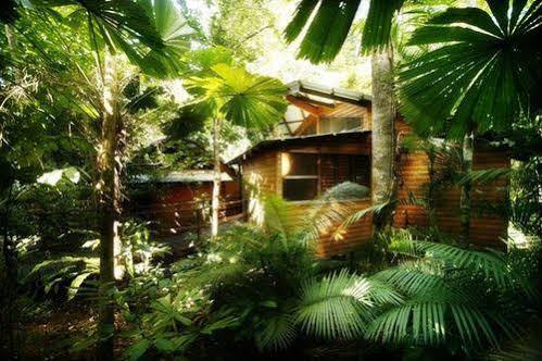 Cape Tribulation Resort & Spa ภายนอก รูปภาพ