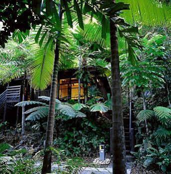 Cape Tribulation Resort & Spa ภายนอก รูปภาพ